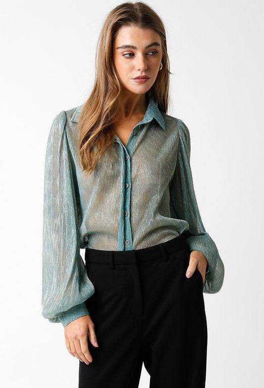 Joyful Sheer Blouse