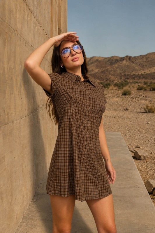 Polished Collared Dress