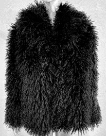 Feeling Fuzzy Faux Fur