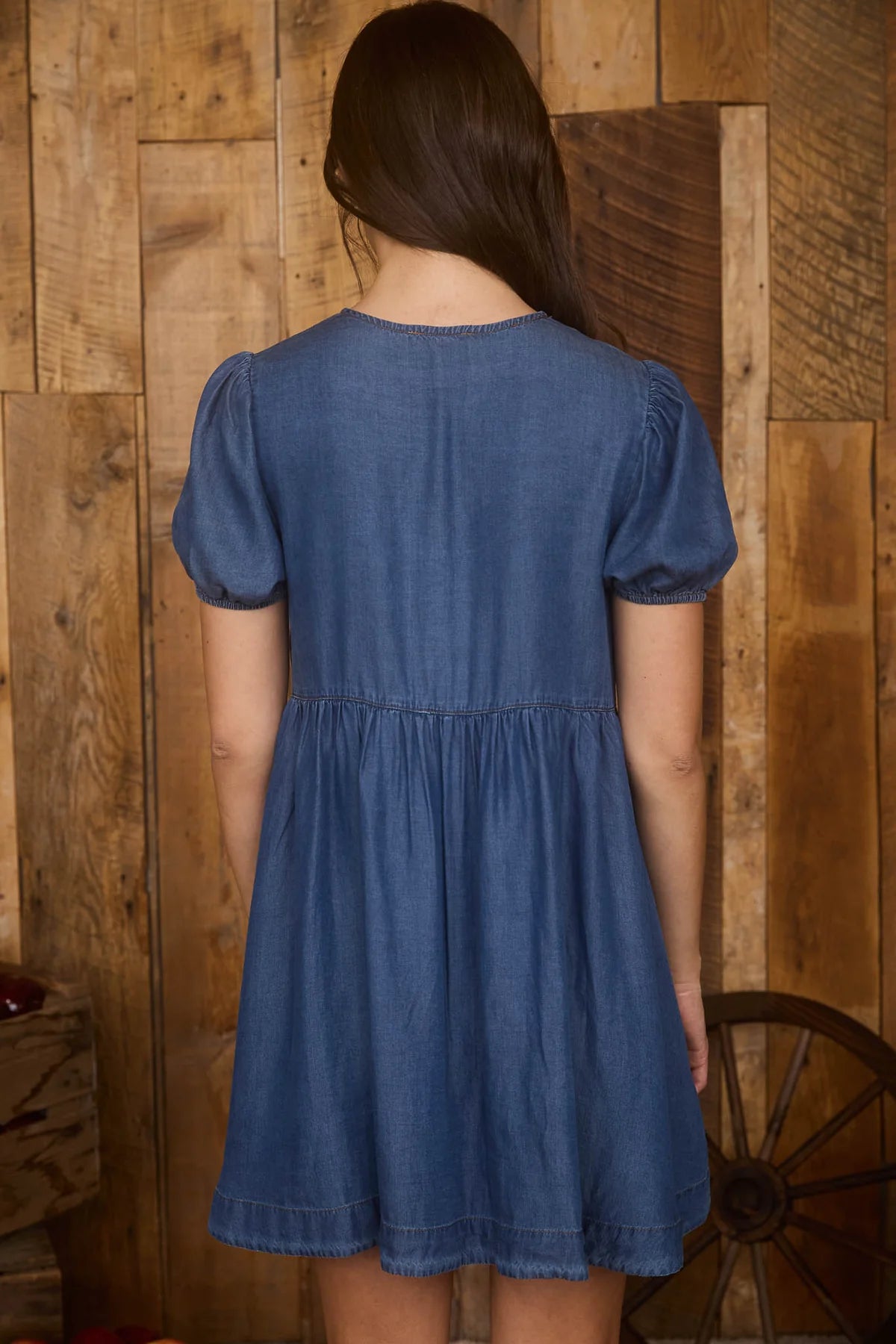 Nova Chambray Dress