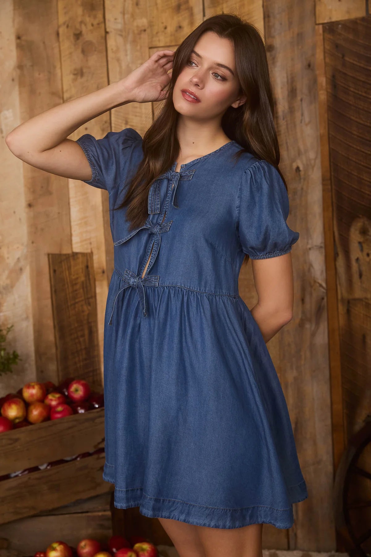 Nova Chambray Dress